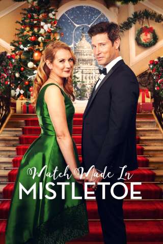 Natale a Washington streaming