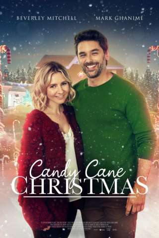 Un Natale zuccheroso streaming