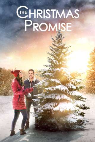 Ricomincio dal Natale streaming