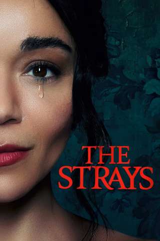 The Strays streaming