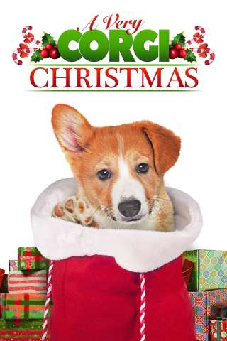 Un Natale da Corgi streaming