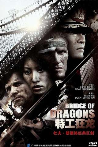 Il ponte del dragone streaming