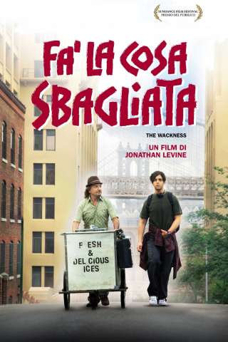 Fa' la cosa sbagliata streaming