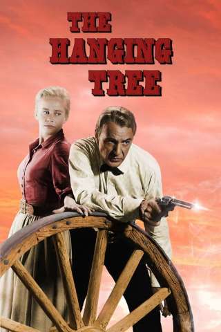 L'albero degli impiccati streaming