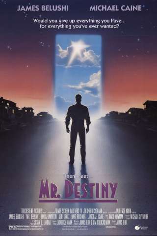 Mr. Destiny streaming