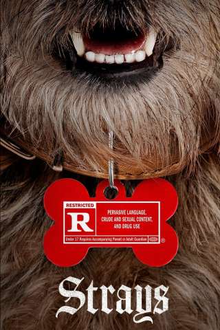 Doggy Style streaming