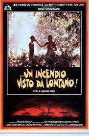 Un incendio visto da lontano streaming