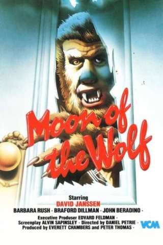 La notte del lupo mannaro streaming