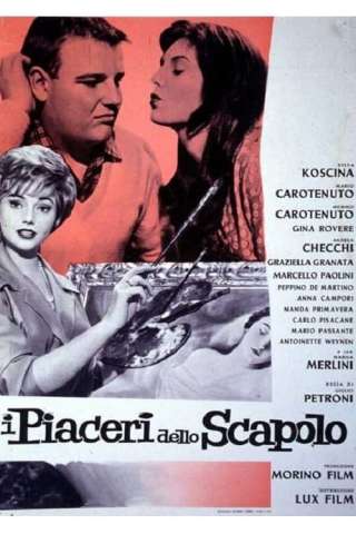 I piaceri dello scapolo streaming