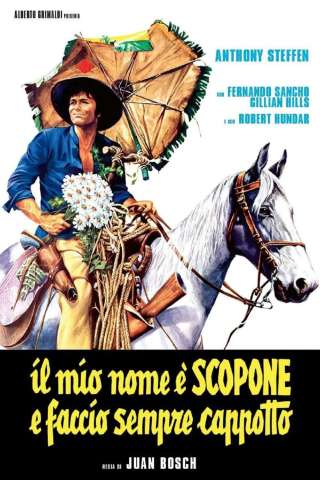Il mio nome è Scopone e faccio sempre cappotto streaming