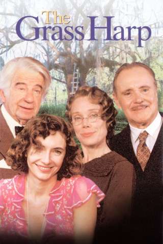 Storie d'amore streaming