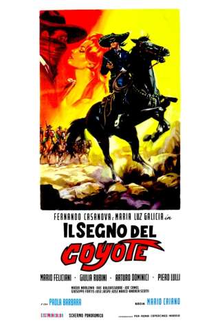Il segno del Coyote streaming