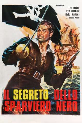 Il segreto dello sparviero nero streaming