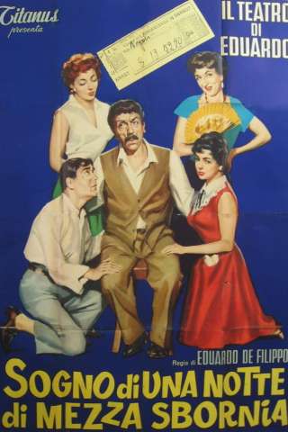 Sogno di una notte di mezza sbornia streaming