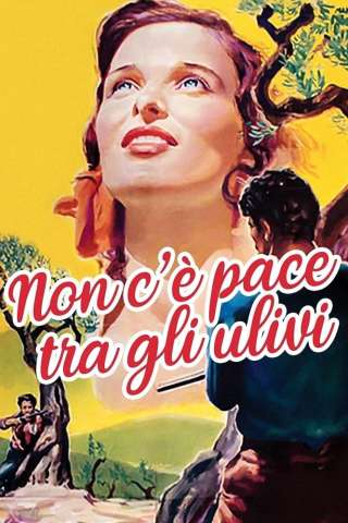 Non c'è pace tra gli ulivi streaming