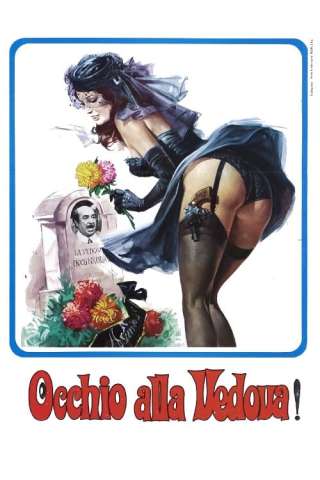 Occhio Alla Vedova! streaming