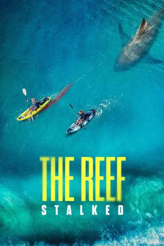 The Reef: intrappolate streaming