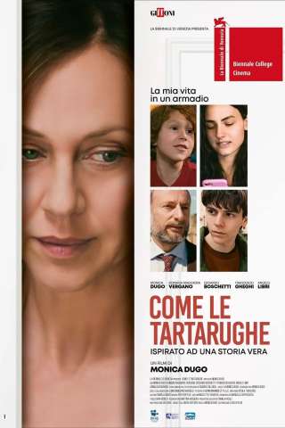 Come le tartarughe streaming