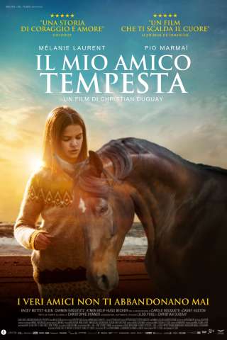 Il mio amico Tempesta streaming
