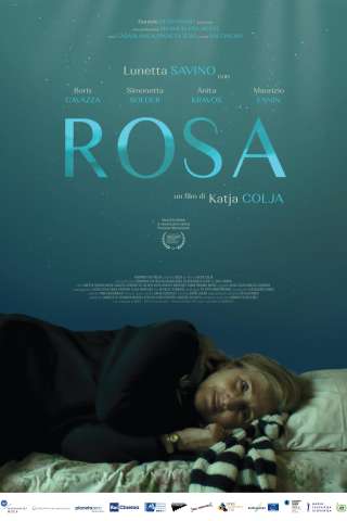 Rosa streaming