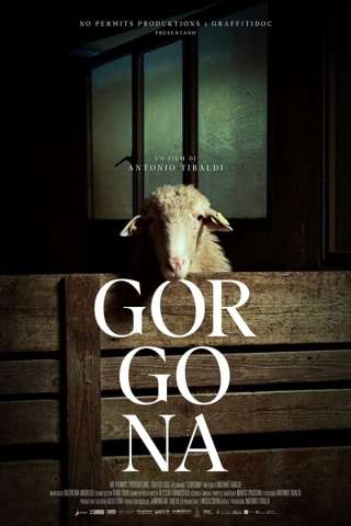 Gorgona streaming