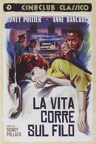 La vita corre sul filo streaming