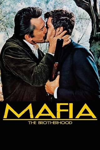 La fratellanza streaming