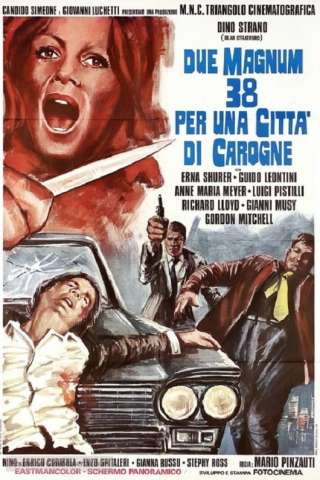 Due Magnum .38 per una città di carogne streaming