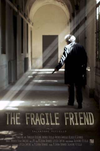 L'amico fragile streaming