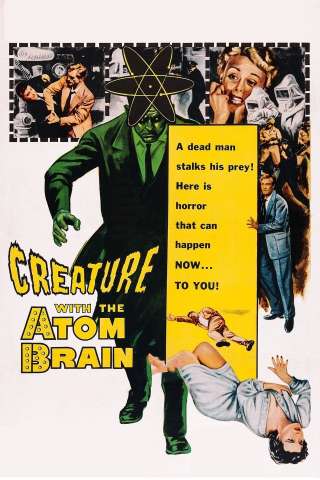 Banditi atomici streaming