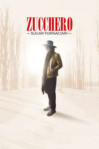 Zucchero Sugar Fornaciari streaming