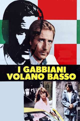 I gabbiani volano basso streaming