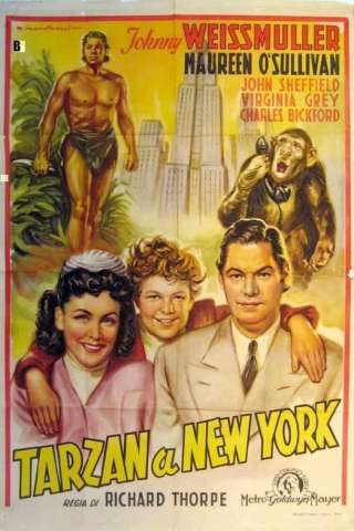 Tarzan a New York streaming