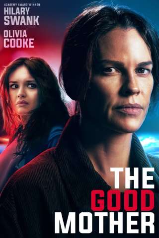 The Good Mother streaming
