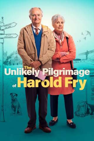 L'imprevedibile viaggio di Harold Fry streaming