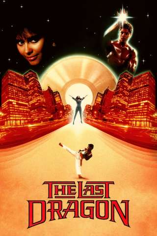 L’ultimo drago streaming