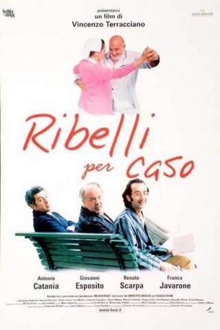 Ribelli per caso streaming