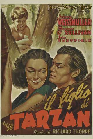 Il figlio di Tarzan streaming