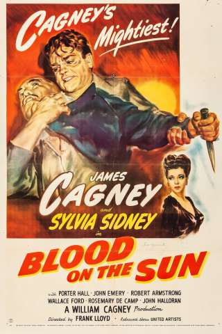Sangue sul sole streaming