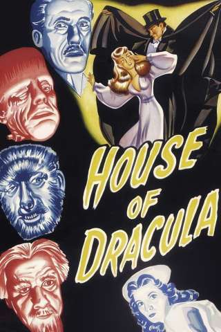 La casa degli orrori streaming