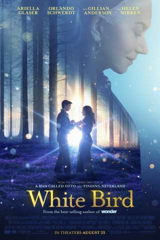 Wonder - White Bird streaming