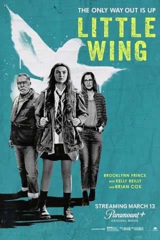 Little Wing - Il senso di casa streaming