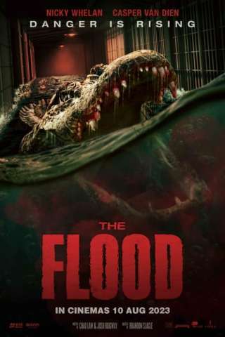 Alligator - The Flood streaming