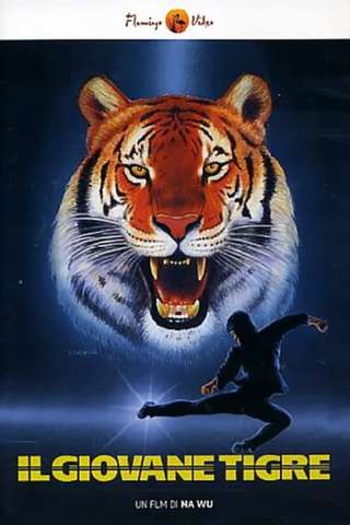 Il giovane Tigre streaming