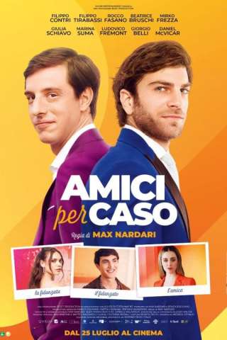 Amici per caso streaming