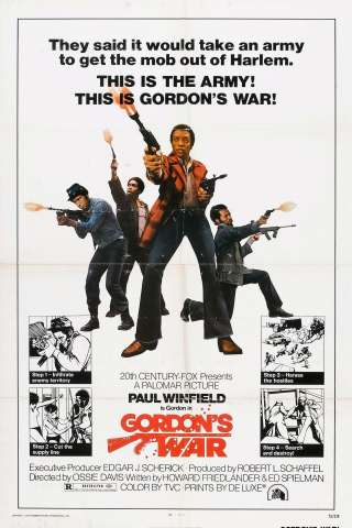La guerra di Gordon streaming