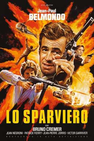 Lo sparviero streaming