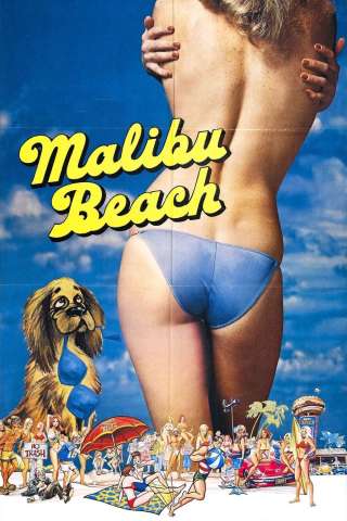 I ragazzi della spiaggia di Malibu streaming
