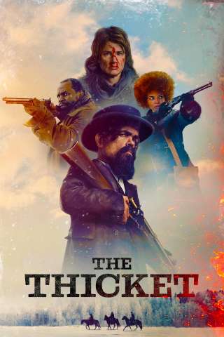 The Thicket streaming
