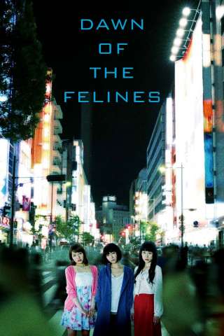 Come feline nelle notti di Tokyo streaming